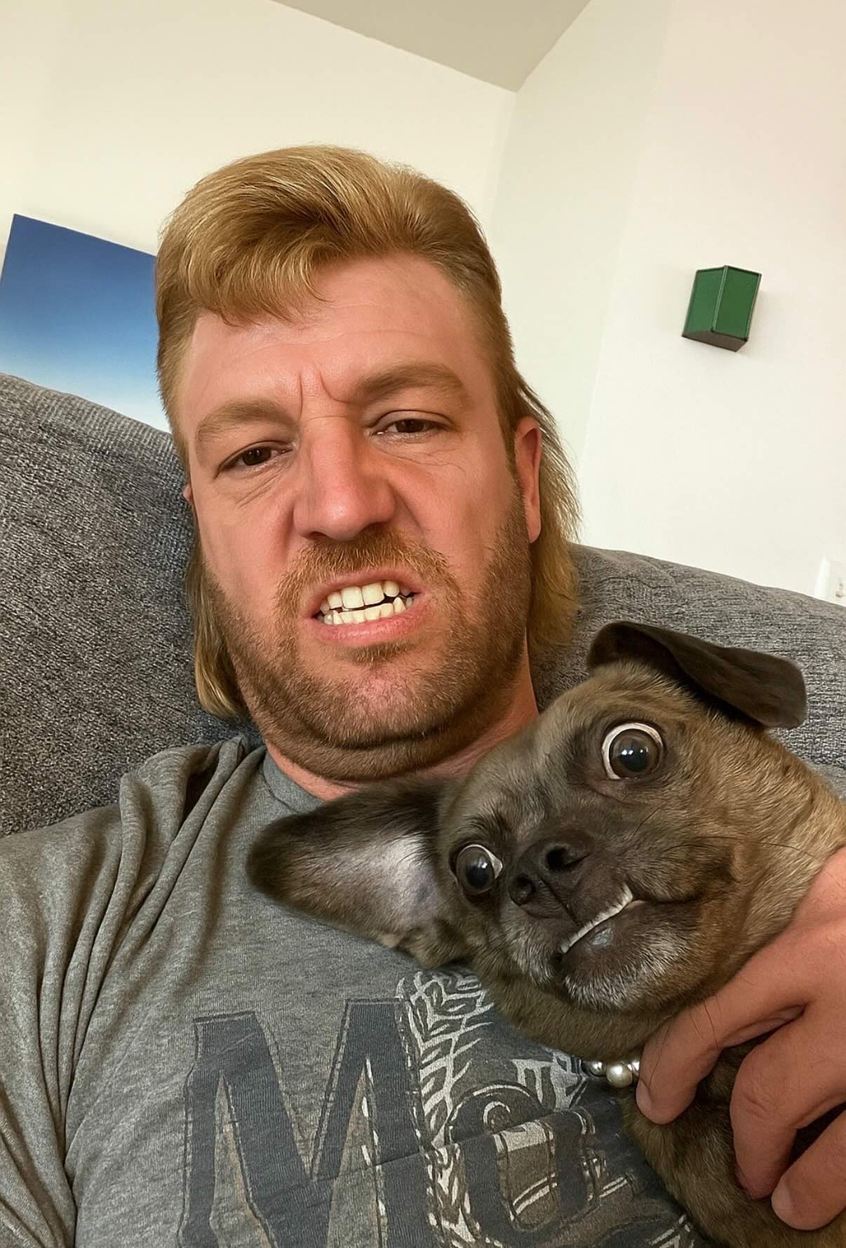 Adorable featured friend